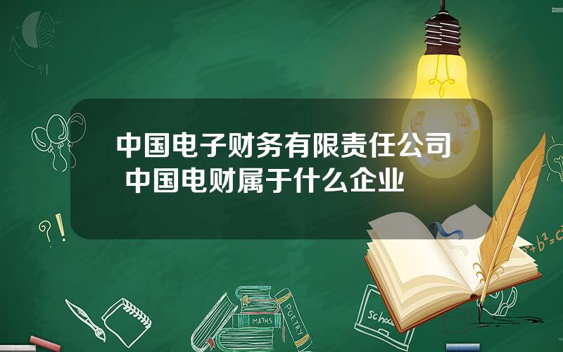 中国电子财务有限责任公司 中国电财属于什么企业